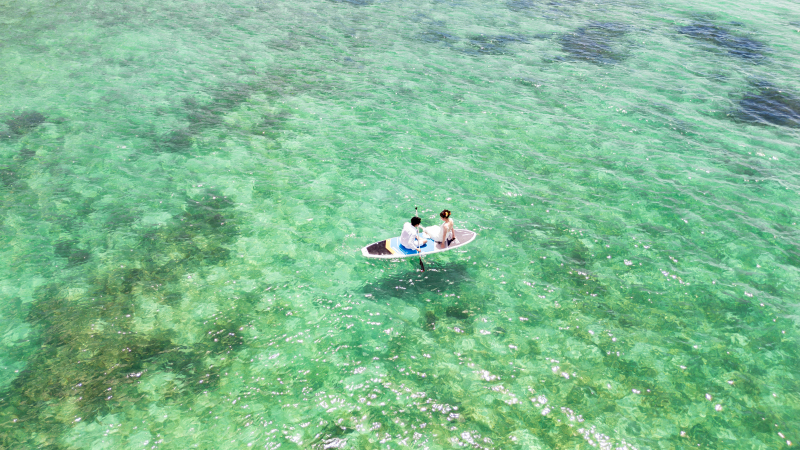 ハイライト第1弾【サップ】