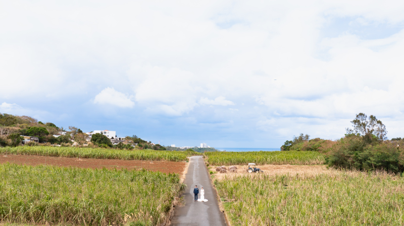 この景色！まさにTHEオキナワ！