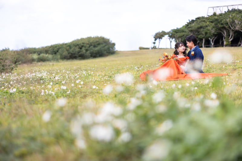 12月でもこんなお花畑のある沖縄です