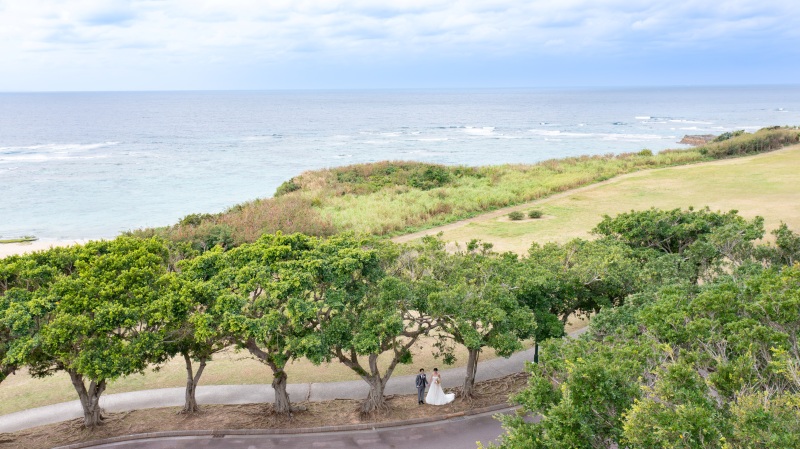 草原を上から見ると