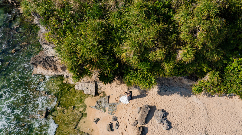 崖に生える緑の木々と海のコントラスト