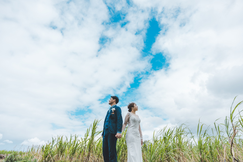 サトウキビ畑では青空も