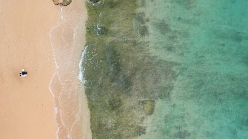 冬の海も青い沖縄