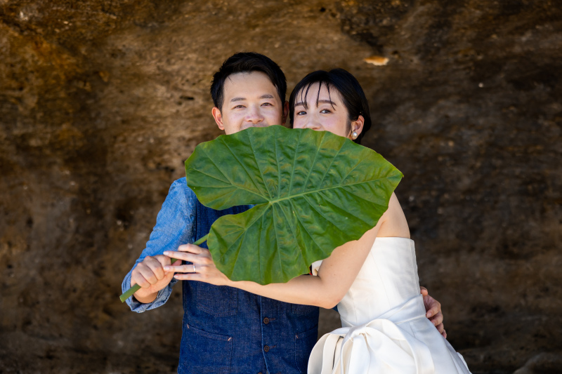 クワズイモの葉