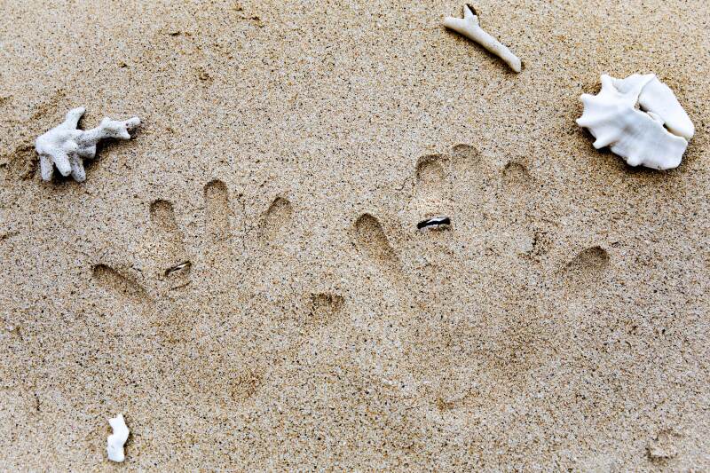 リクエストカット