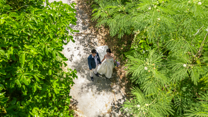 木立の上からのドローンショット