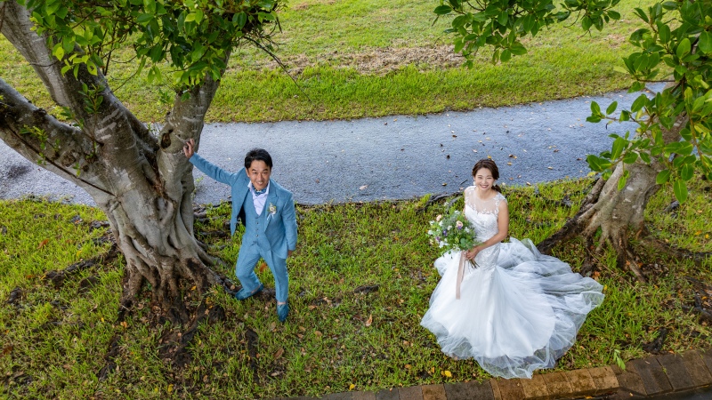 先ずはお決まりの草原ショット