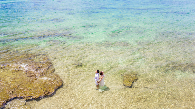 ハイライト第2弾【ウォーター・イン】