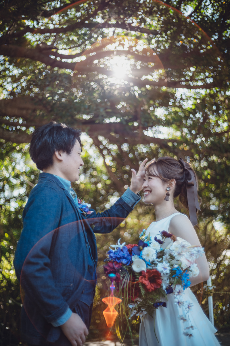 木漏れ日が綺麗だったので