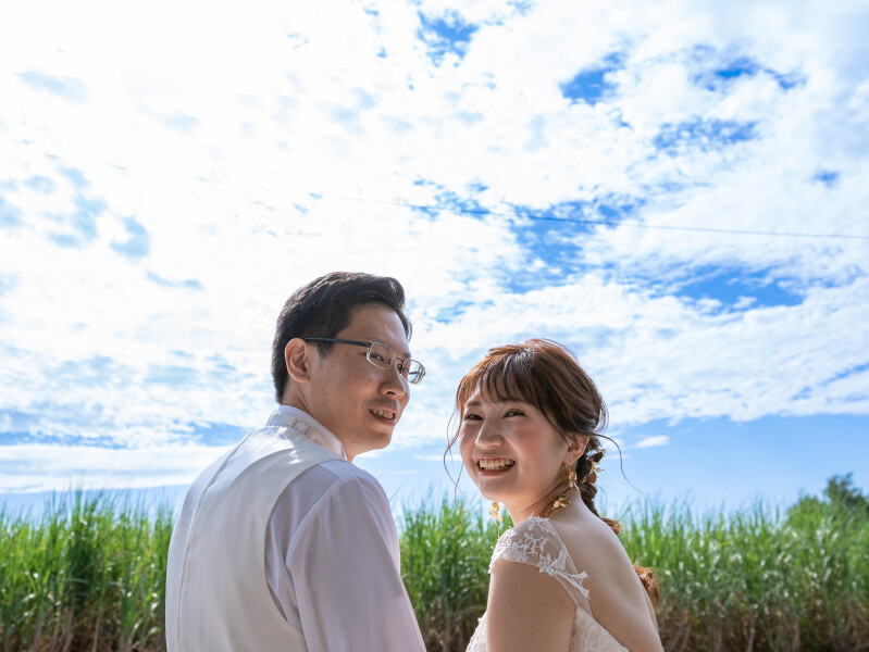 最後はサトウキビ畑で