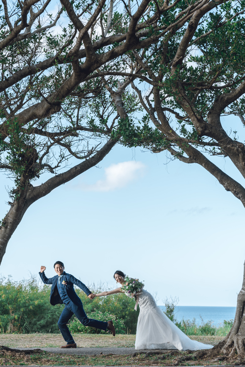 いつも撮るガジュマルの並木も...