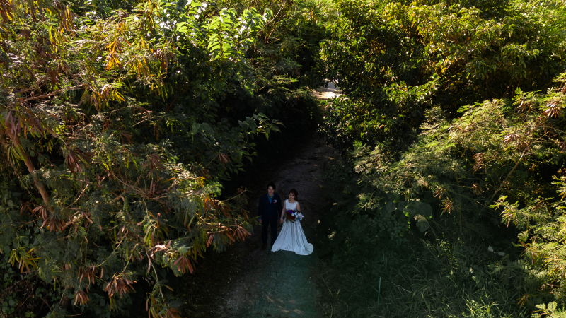 木の間からドローンで