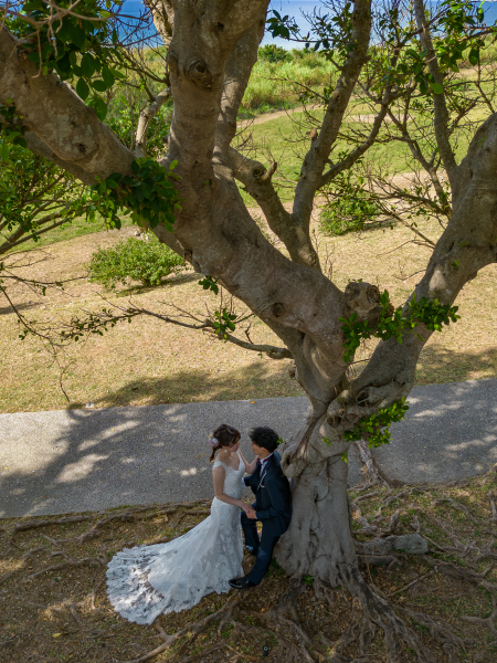 ドローンで木の枝の間を狙って