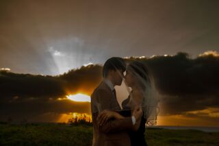 パラディス・ブルー・ヒルズ_パラディス・ブルーのシネマムービーサンプル