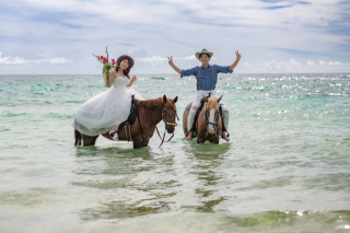 パラディス・ブルー・ヒルズ_ドローン撮影の高度な撮影技術と魅力が満載です