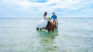 パラディス・ブルー・ヒルズ_ドローン撮影の高度な撮影技術と魅力が満載です
