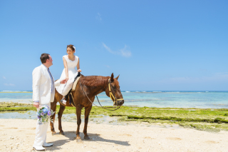 乗馬しての撮影