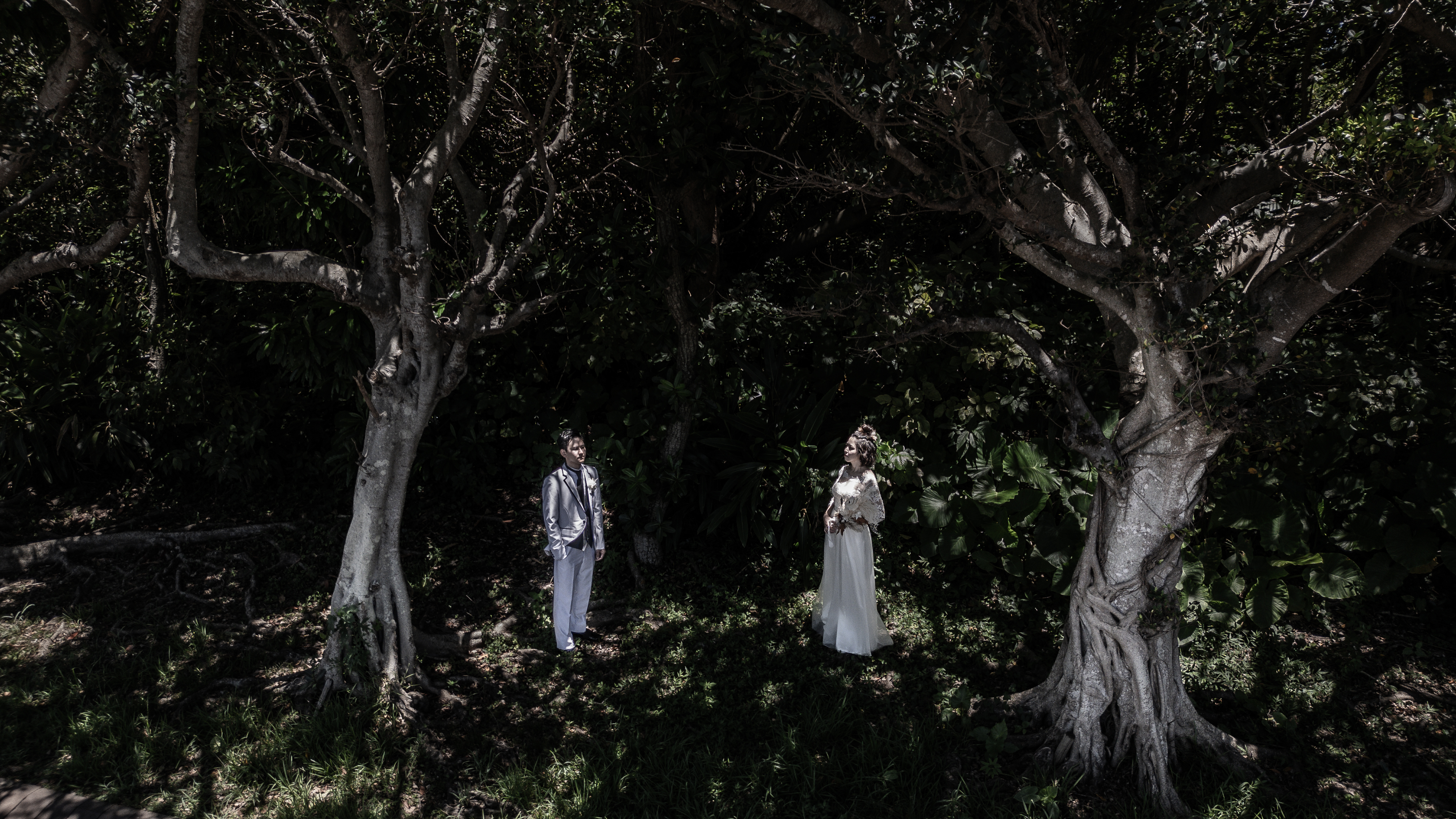 Point1 多彩な撮影シーン