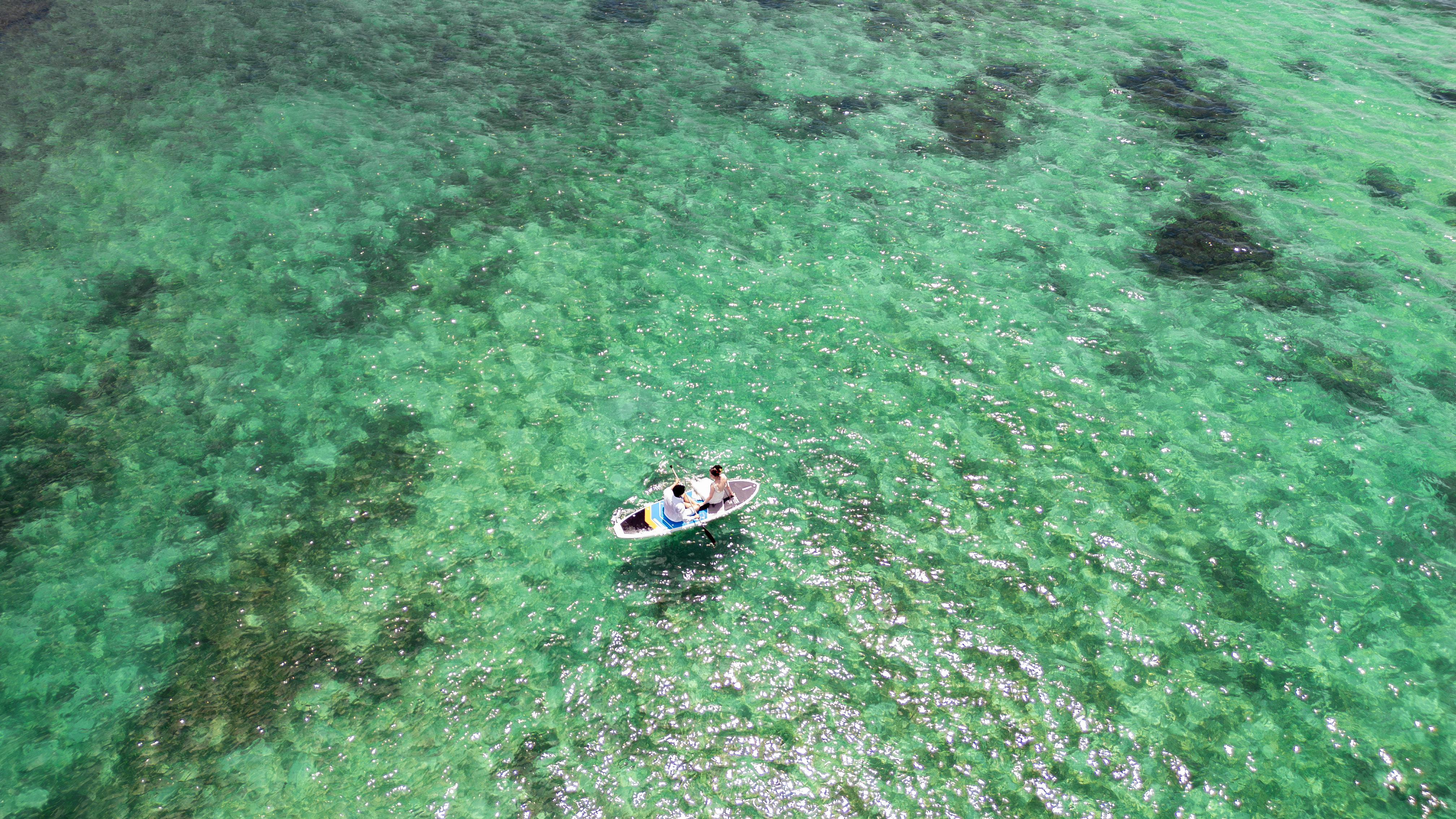 Point1 多彩な撮影シーン