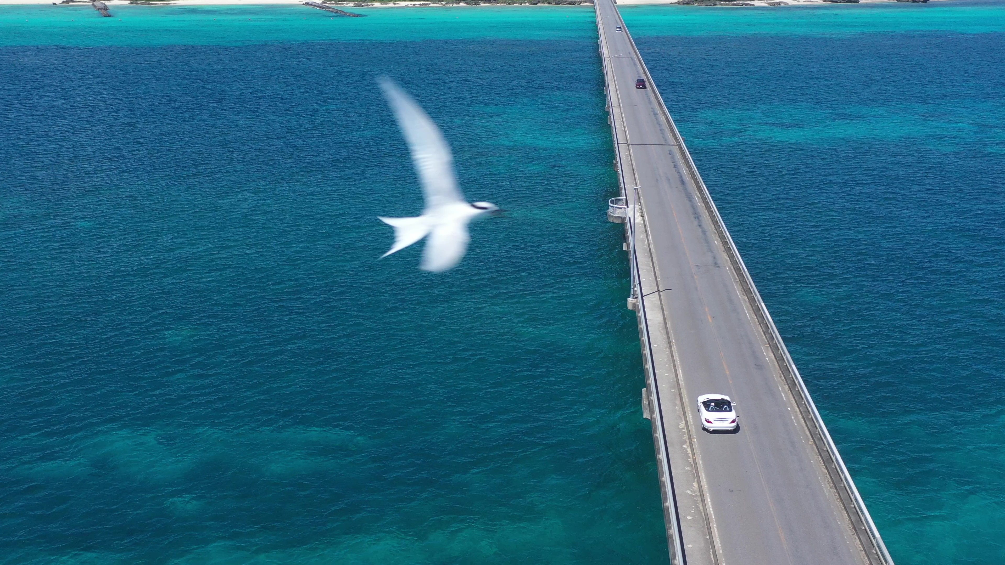 Point1 多彩な撮影シーン