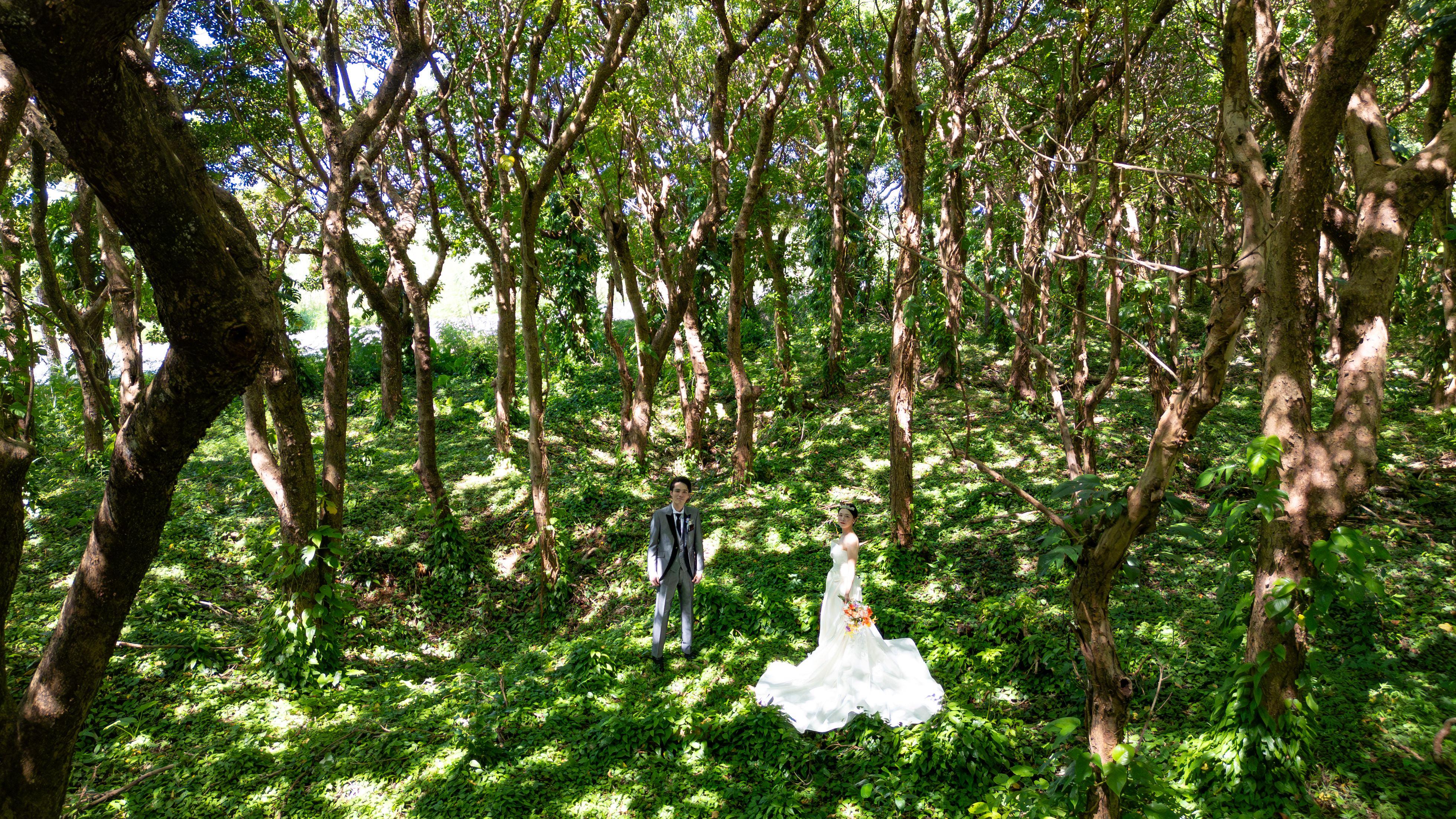 20以上ある撮影シーン