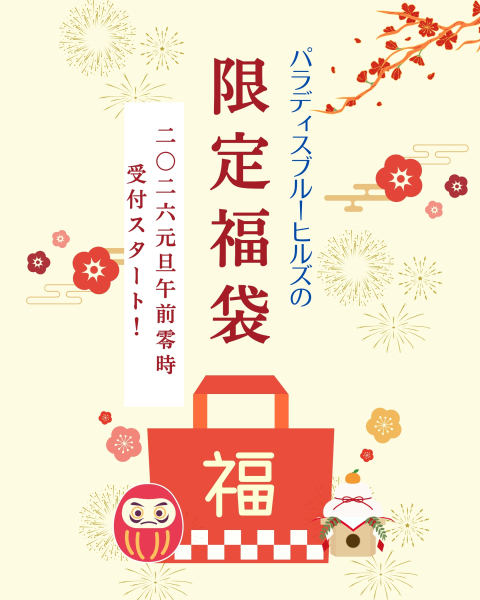 元旦発売2026福袋〖松〗（先着5組）【ビーチ＋サンセット撮影】全200カット（ドローンフォト30カット以上）6/30まで撮影可