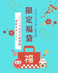 元旦発売2026福袋〖竹〗（先着5組）★宿泊2泊付き【ビーチフォトプラン】ドローン撮影込み全２００カット☆4/20まで撮影可能