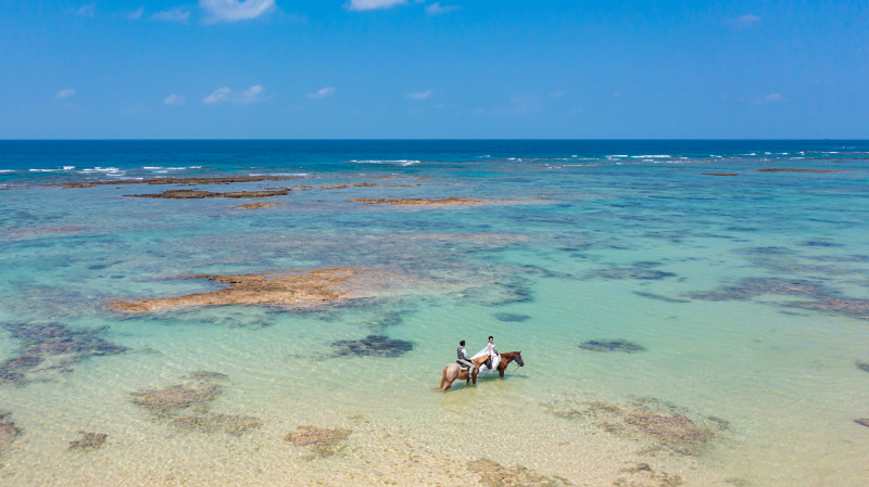 <本島>披露宴でみんなをKO!【乗馬付きフォト&ムービープラン】ドローン+一眼ムービー撮影付※オープニングムービー対応