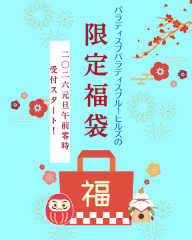 元旦発売2026福袋〖竹〗（先着5組）★宿泊2泊付き【ビーチフォトプラン】ドローン撮影込み全１５０カット☆4/20まで撮影可能