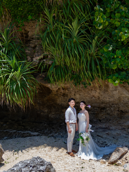 BLACK FRIDAY早得Ⓩ【スマホ用ドローンのタテ動画30秒2本付】ビーチ・グリーンにドローン撮影付き200カット以上