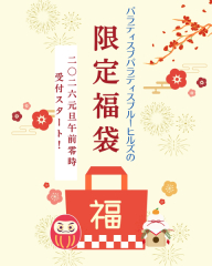 元旦発売2026福袋〖松〗（先着5組）【ビーチ＋サンセット撮影】全200カット（ドローンフォト30カット以上）6/30まで撮影可