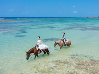 ＜本島＞披露宴でみんなをKO！【乗馬付きフォト＆ムービープラン】ドローン＋一眼ムービー撮影付※オープニングムービー対応