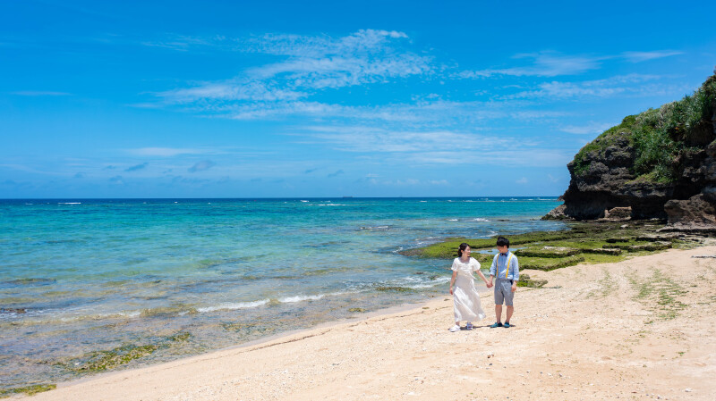 BLACK FRIDAY早得Ⓩ【スマホ用ドローンのタテ動画30秒2本付】ビーチ・グリーンにドローン撮影付き200カット以上