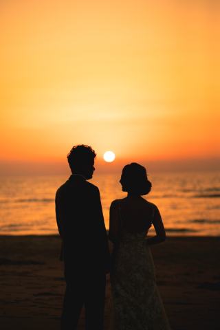 庭園や夕陽で♪