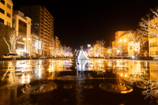 イルミネーションに包まれて