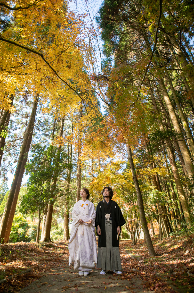 イチョウの木に囲まれて✳︎