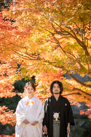 〜色とりどりの紅葉〜