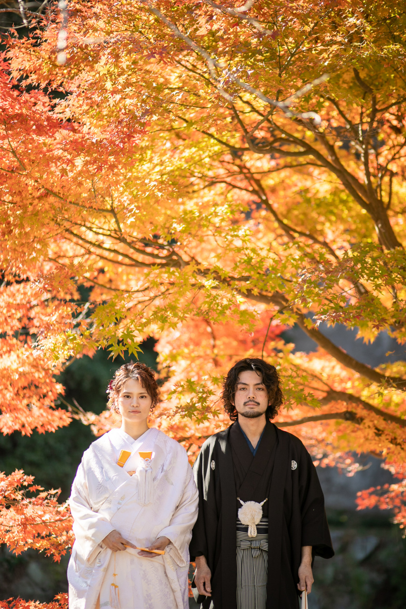 〜色とりどりの紅葉〜