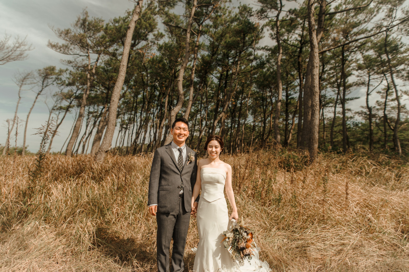 幻想的なススキで透明感のある一枚