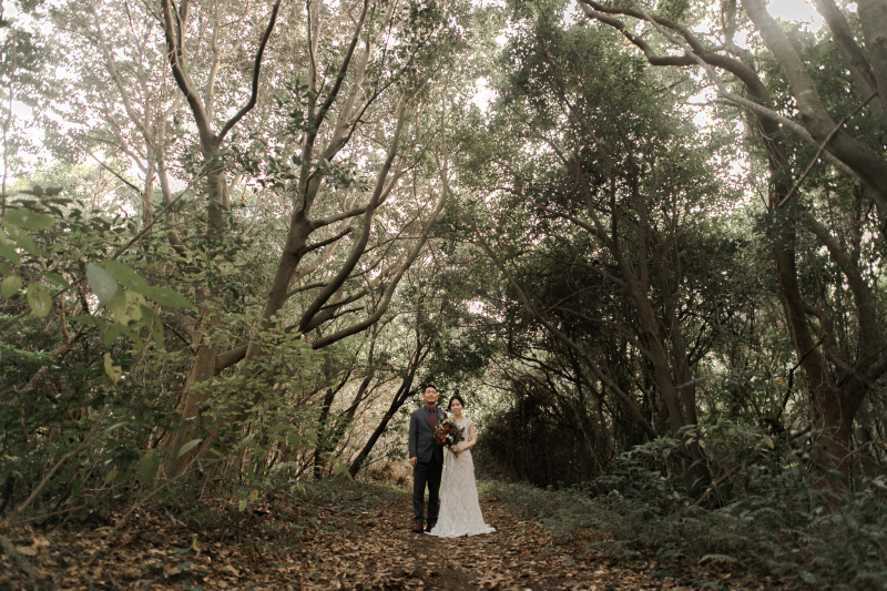 木漏れ日がお二人を照らします♡