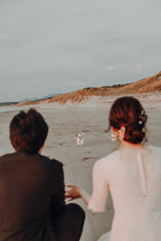 愛犬との思い出