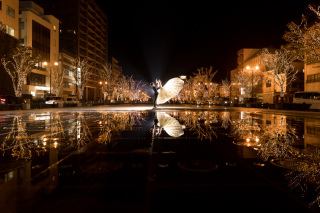 Lumiere (ルミエール)_new photo