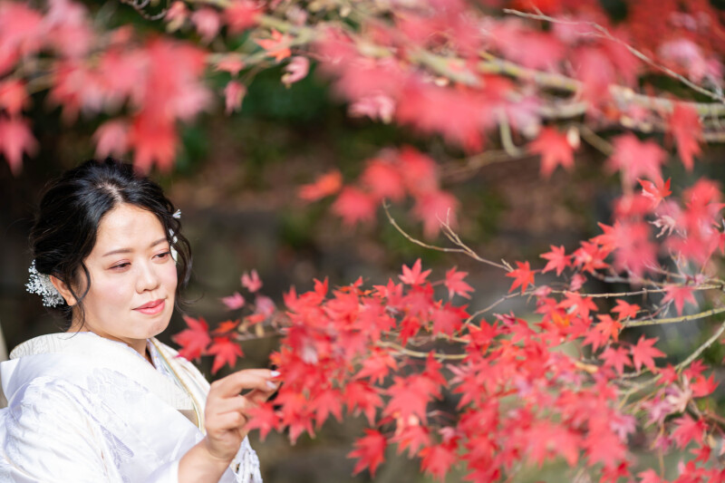 バリエーション