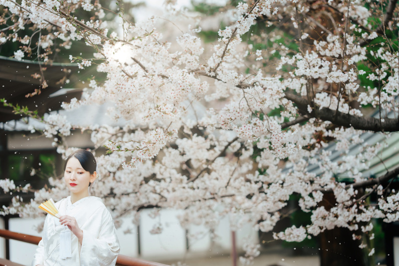 バリエーション3