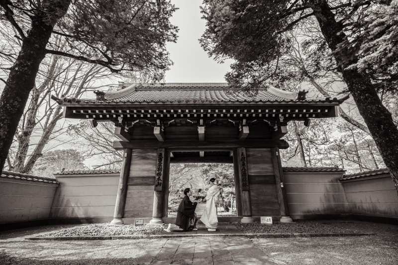 バリエーション3