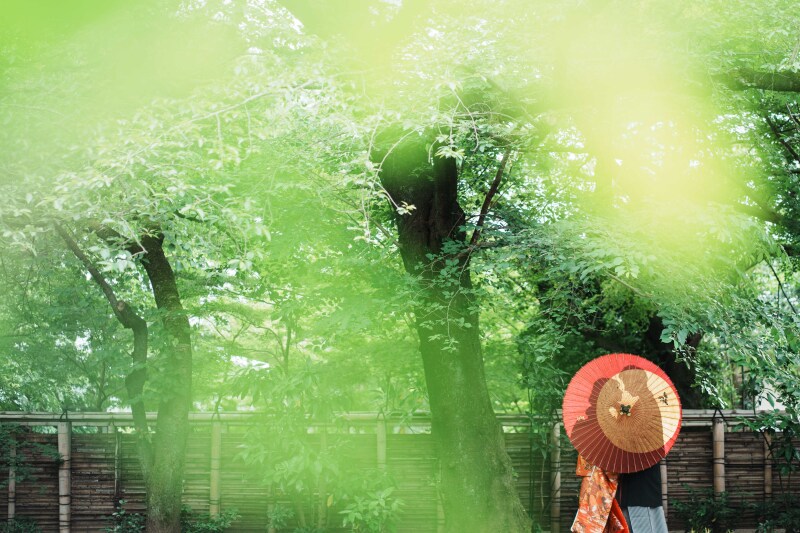 和傘でシルエット