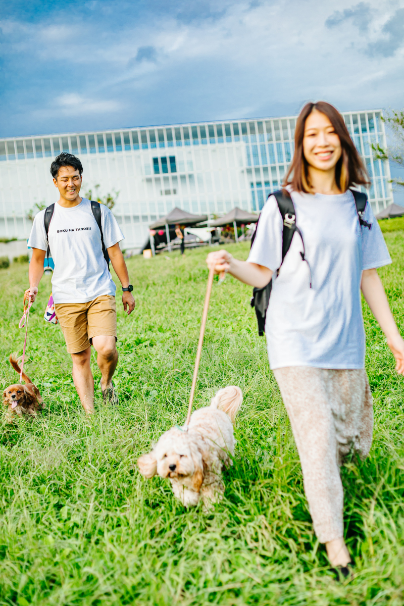 バリエーション