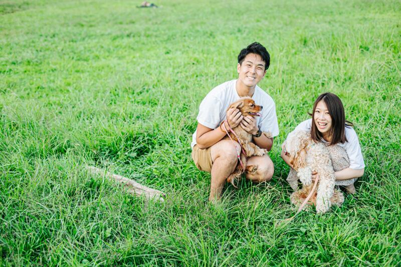 バリエーション3