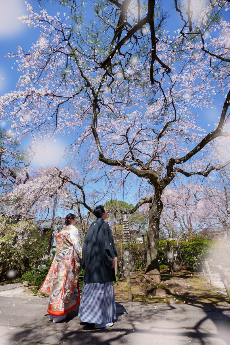 バリエーション５