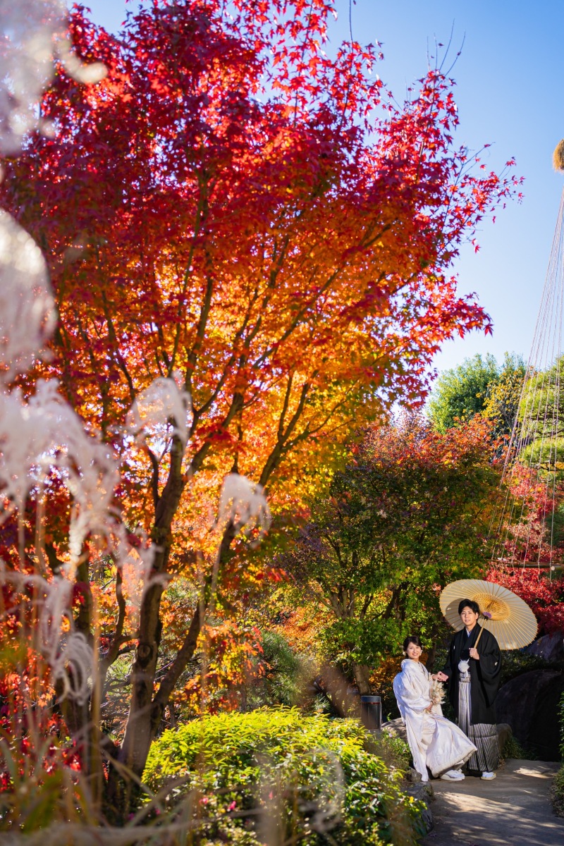 紅葉の目白庭園にて【和室&庭園】和装前撮り♪